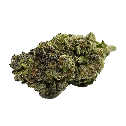 Banana Bread Strain