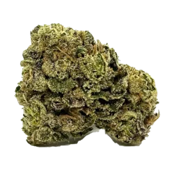 Weed Club Madrid, Spain