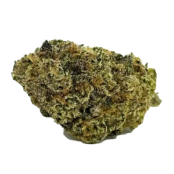 Weed joint Stuttgart