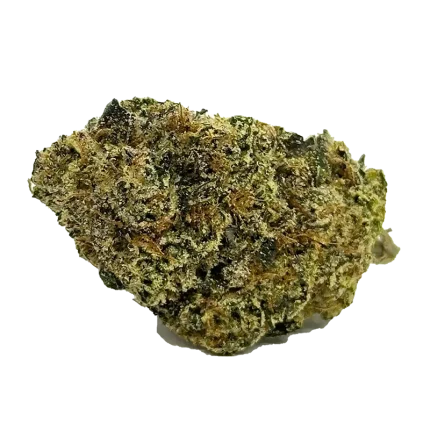 lemon cherry gelato strain