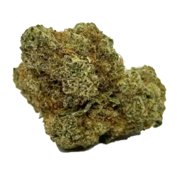 Amsterdam Weed Museum