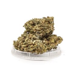 weed for sale in Luxembourg, kenevir yağı ne işe yarar Tuekry