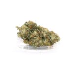 parc du dispensaire France