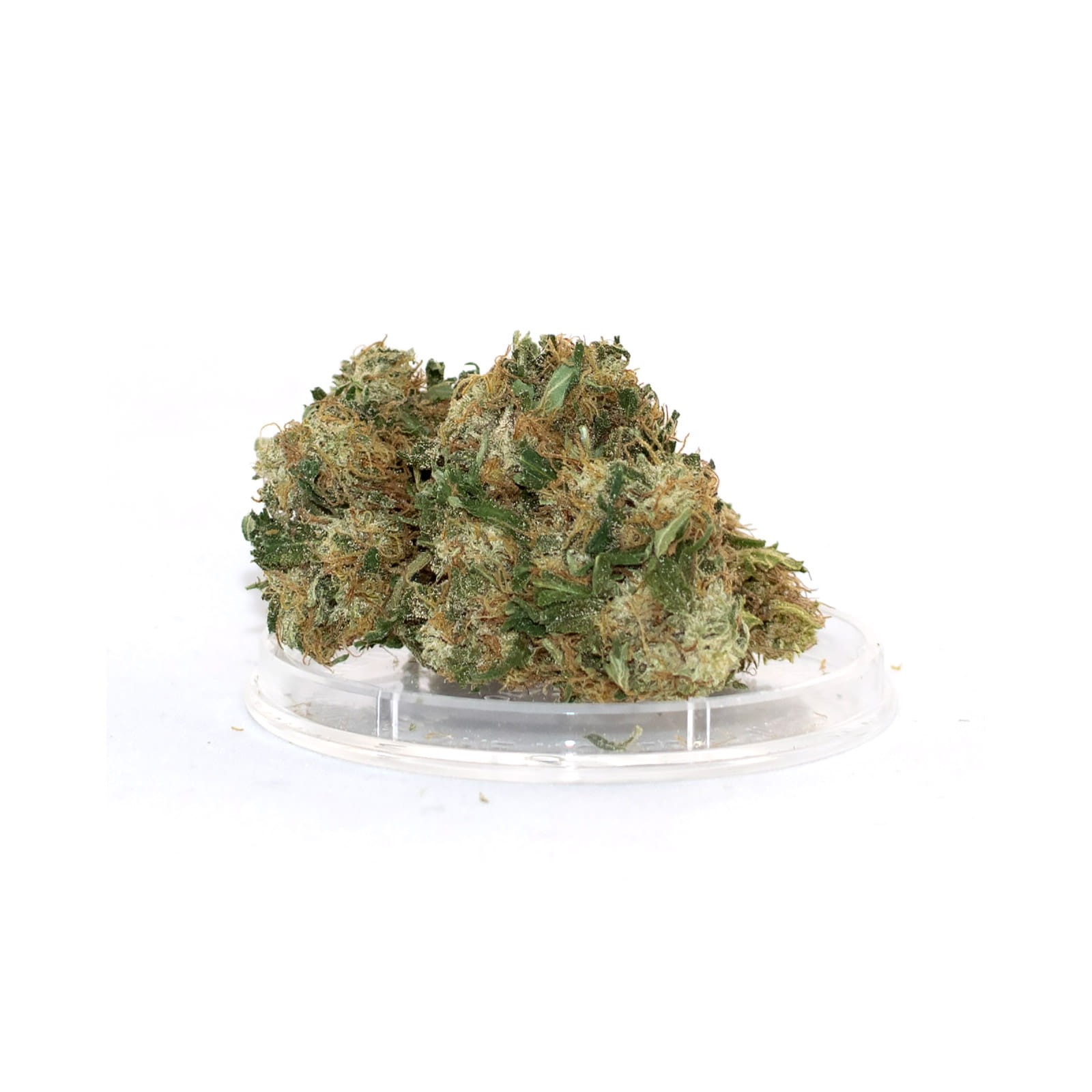 susz04 Weed for Sale in Lithuania