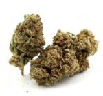 greenardó weed social club barcelona