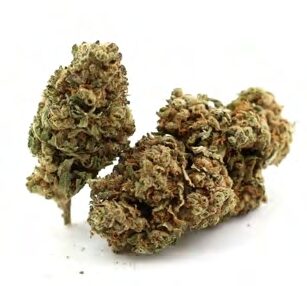 greenardó weed social club barcelona