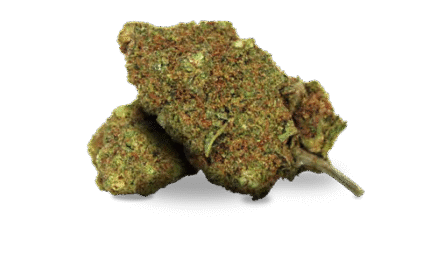 barcelona kush weed club