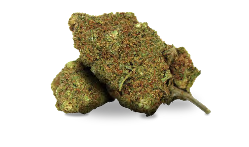 barcelona kush weed club