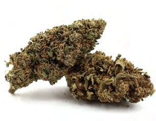 Hierba Luisa in Spain