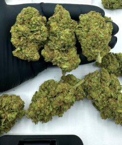 Cannabis Social Clubs in Malaga