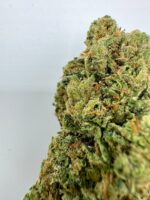 Cannabis Social Clubs in Malaga