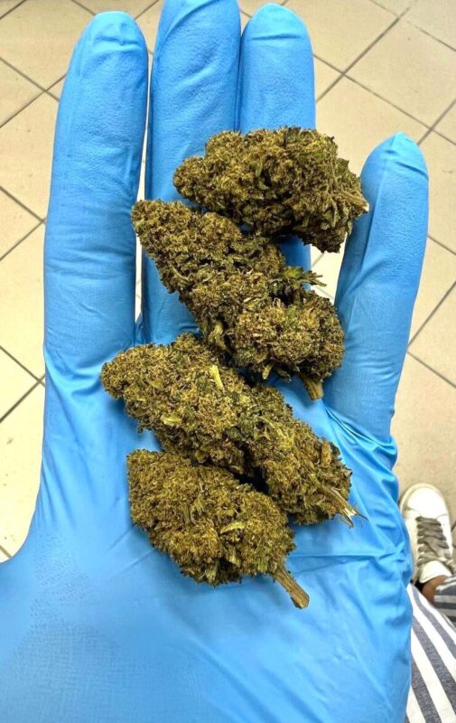 Tenerife Weed