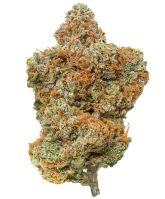 Kenevir Ne İşe Yarar