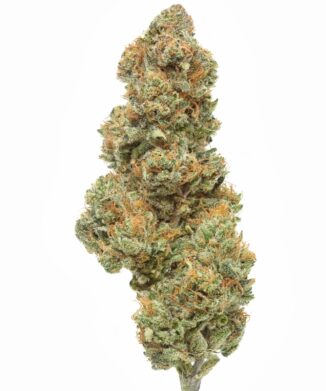 1 Kök Kenevir Kaç Gram Verir