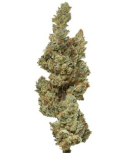 Weed Entzug in Austria