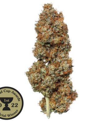 Kenevir Faydaları Türkiye