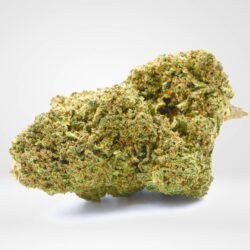 jack herer strain in spain