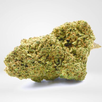 jack herer strain in spain