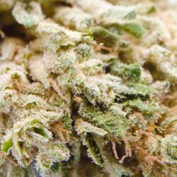 CBG Haze CBD Flowers