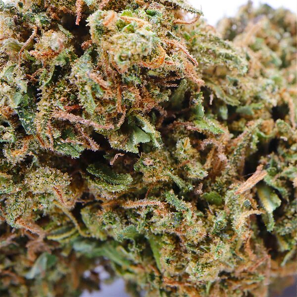 weed ibiza weed ibiza