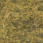 decrypt md5 hash in spain