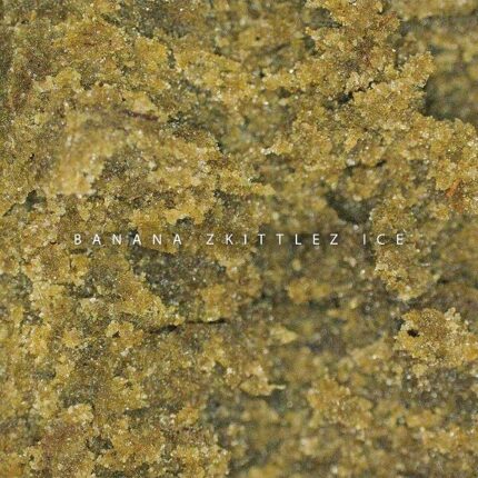 decrypt md5 hash in spain