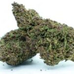 Buy Sativa marijuana weed strain online, Discreet Online Cannabis Shopping