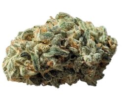 Amnesia Haze Cake Germany