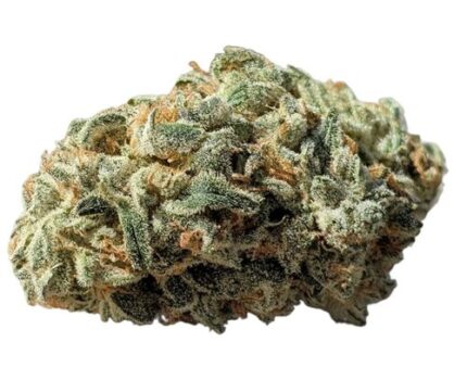 Amnesia Haze Cake Germany