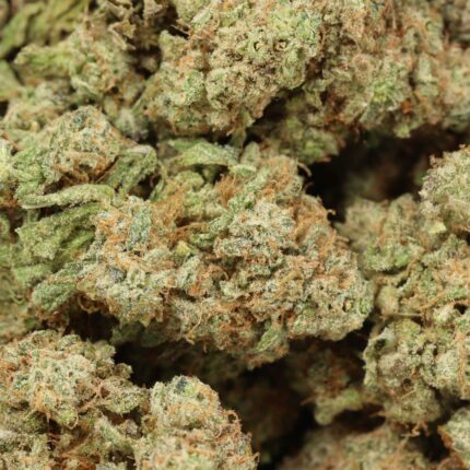 blue dream barcelona