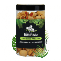 Buy CBD Treats for Pets in Europe