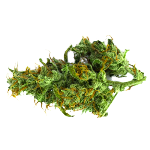 Buy 8 Ball Kush Weed Strain Buy 8 Ball Kush Weed Strain