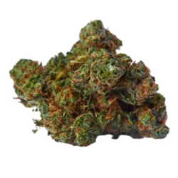 Buy Afghan Purple Kush Weed Strain