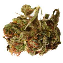 Buy Afghan Bullrider Weed Strain