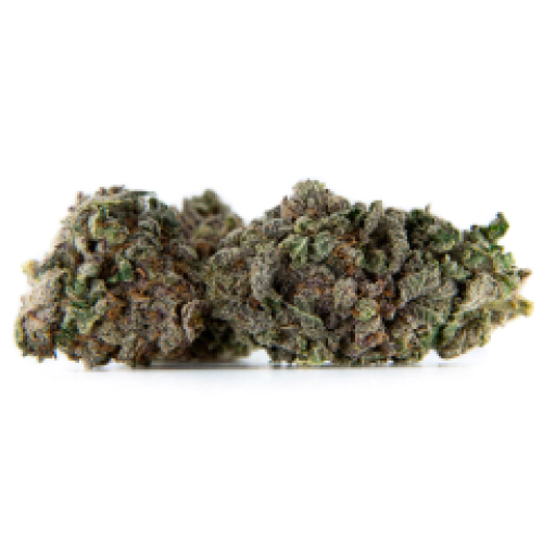Buy Afghani Weed Strain Buy Afghani Weed Strain
