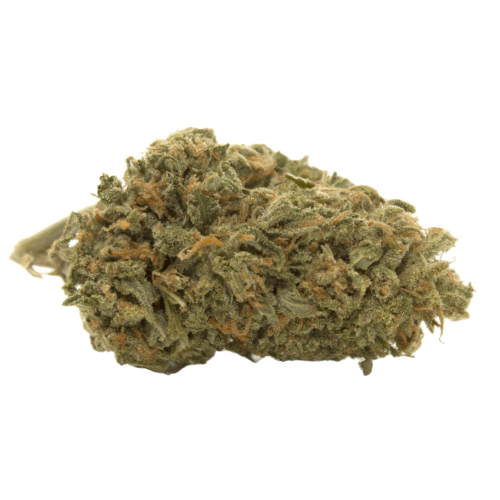 Buy Asian Fantasy Sativa Weed Strain Buy Asian Fantasy Sativa Weed Strain