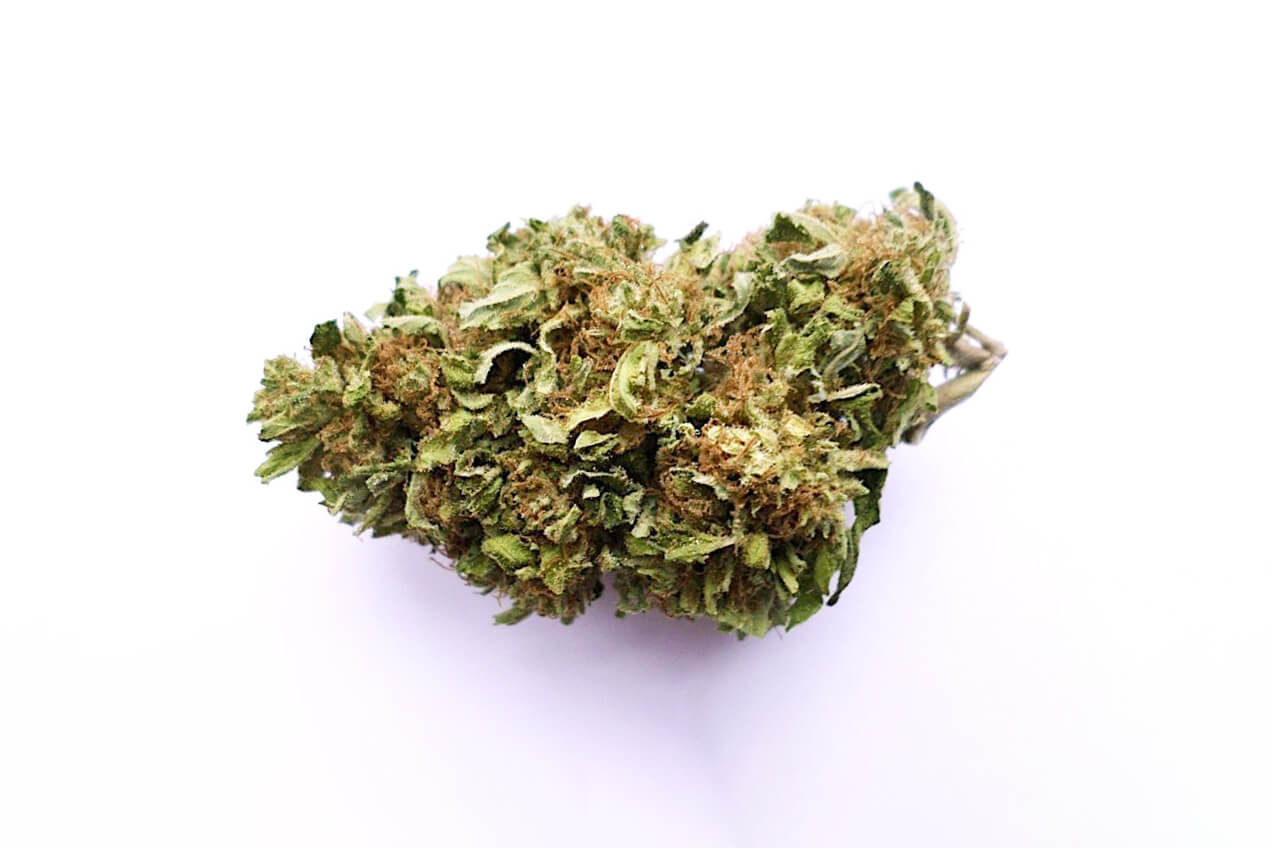 Buy BF Blue Cheese Weed Strain Buy BF Blue Cheese Weed Strain