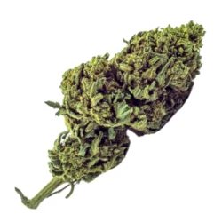 Buy Banana candy Weed Strain