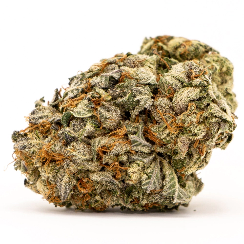 Buy Banana Haze Sativa Weed Strain Buy Banana Haze Sativa Weed Strain