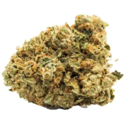 Buy berry Haze Sativa Weed Strain