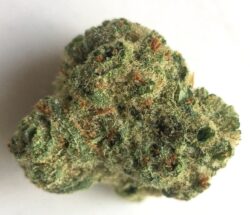 Buy Bio Jesus Weed Strain