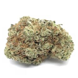Buy Blackberry Weed Strain