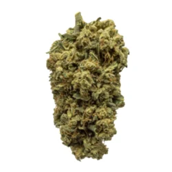 Buy Blackberry Kush Weed Strain