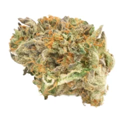 Buy Blue Bayou Sativa Weed Strain