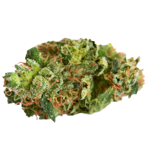 Buy Blue God Weed Strain Buy Blue God Weed Strain