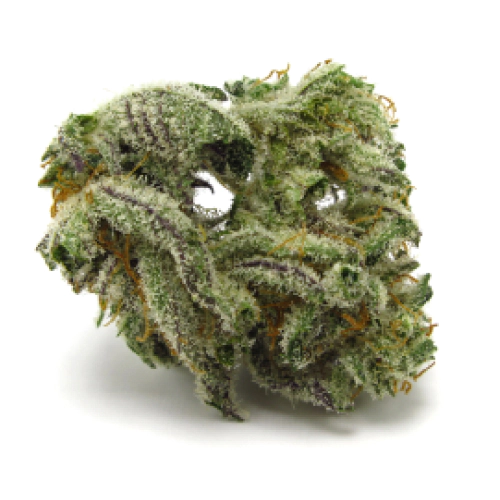 Buy Blueberry Kush Weed Strain Buy Blueberry Kush Weed Strain