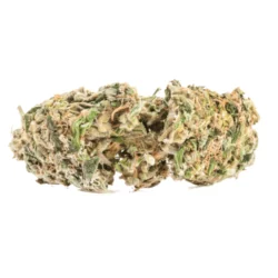 Buy Bob Marley Sativa Weed Strain