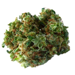 Buy Buddah Kush Weed Strain