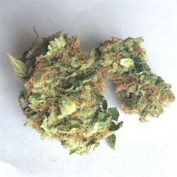 Buy Cherry Diesel weed strain