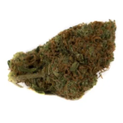 Buy Chocolate Chunk Indica Weed Strain